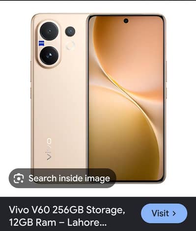 Vivo V60