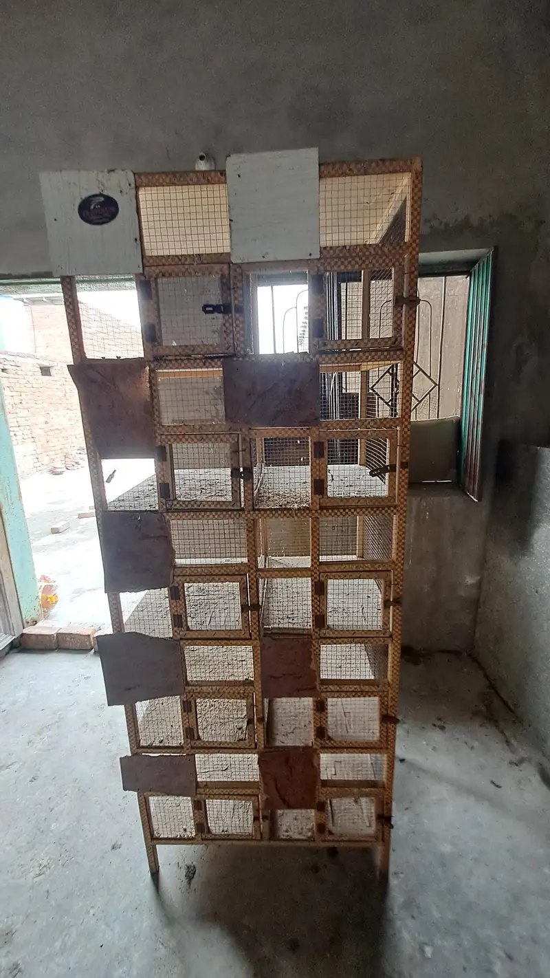 Cage for pigeons and hens