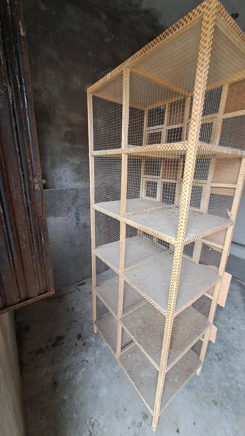 Cage for pigeons and hens — photo 2