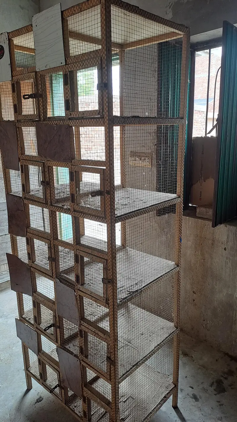 Cage for pigeons and hens — photo 3