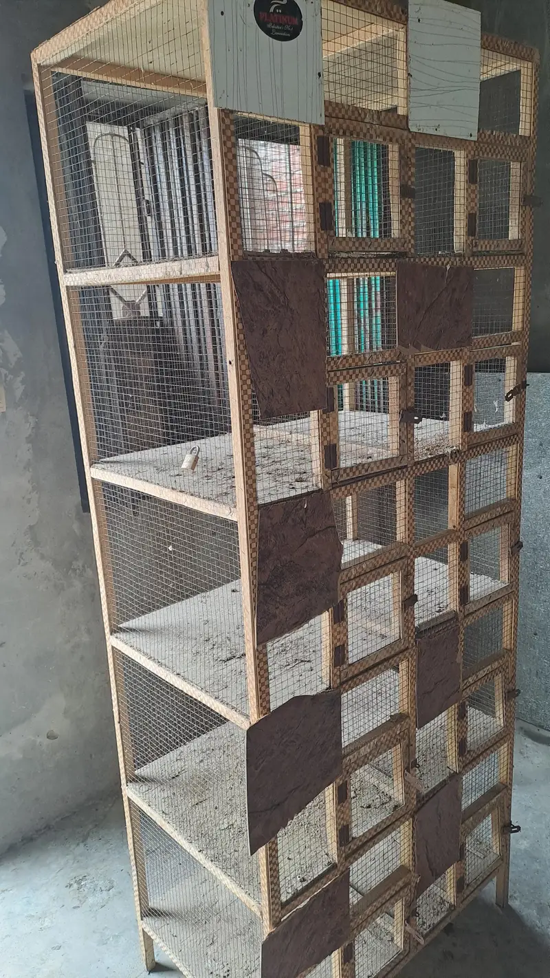 Cage for pigeons and hens — photo 4