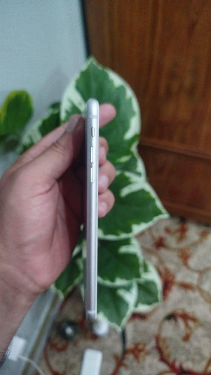 Apple iPhone 7 Plus 3