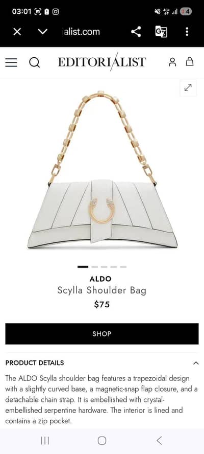 Brand new Aldo Bag