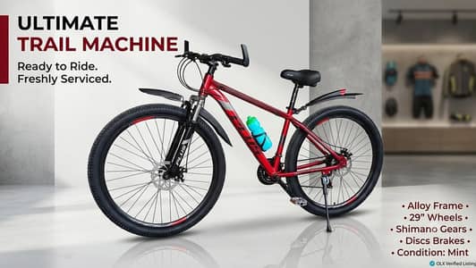 Plus Fat Tyre Bicycle