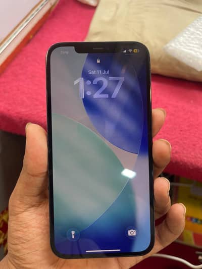 Apple iPhone 12 Pro Max