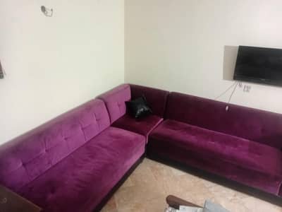 Purple Color 7 seats L shape sofa