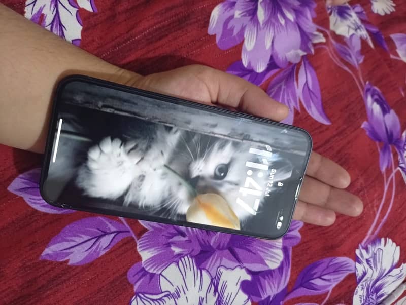 Apple iPhone 13 2