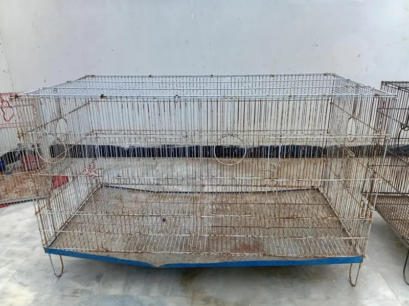 Folding cage for birds — photo 3