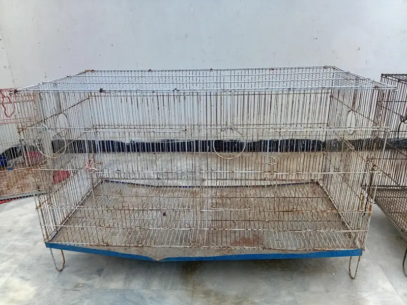 Folding cage for birds — photo 4