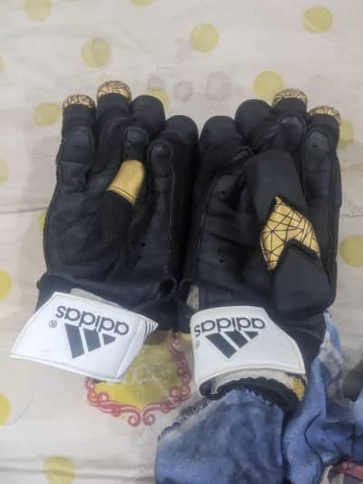 1 pair of gloves 1 pair pads 2 pair of Thai pad 2 guard supporter 1bat