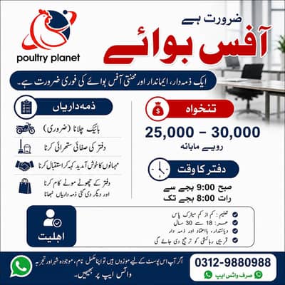 OFFICE BOY JOB