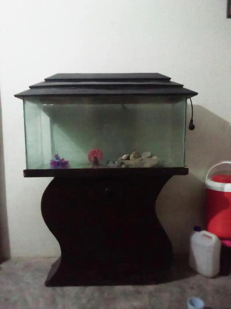 Fish aquarium