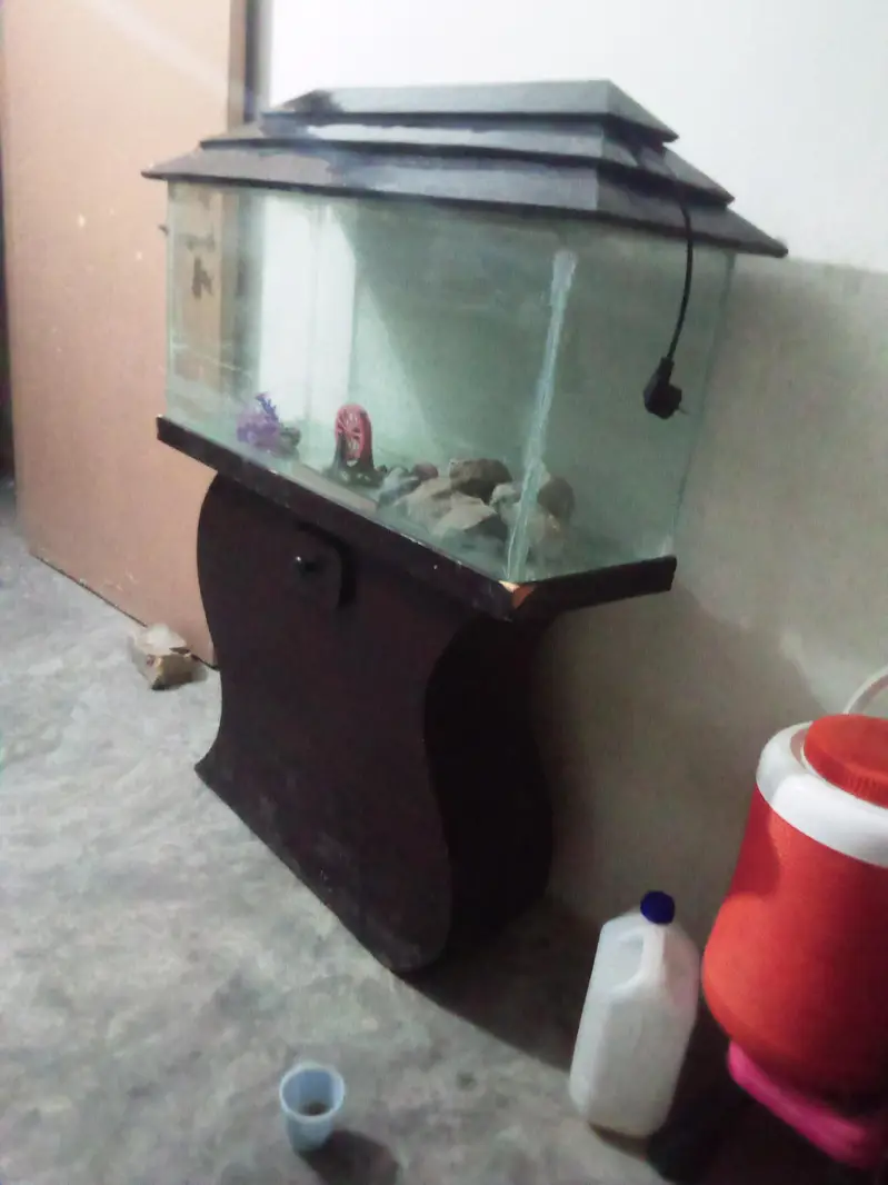 Fish aquarium — photo 2