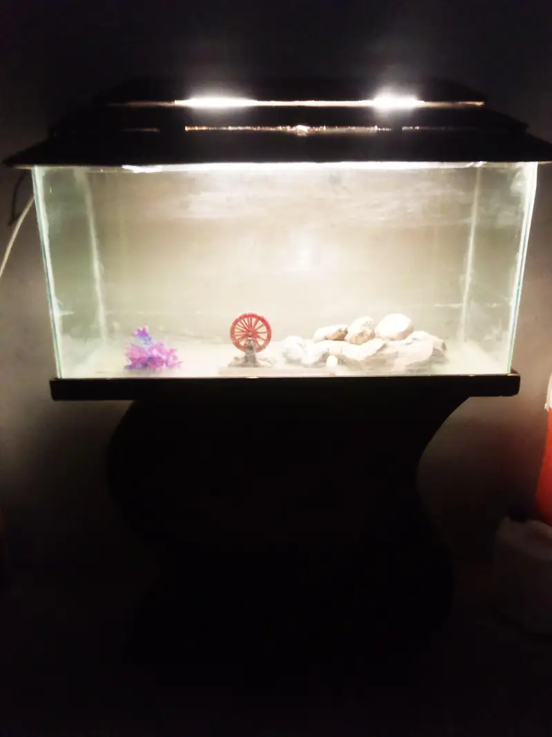 Fish aquarium — photo 3