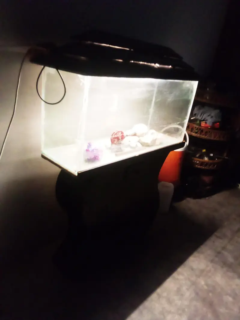 Fish aquarium — photo 4