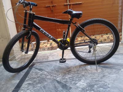 Phoenix oval cycle 26inch