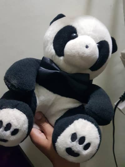 cute panda