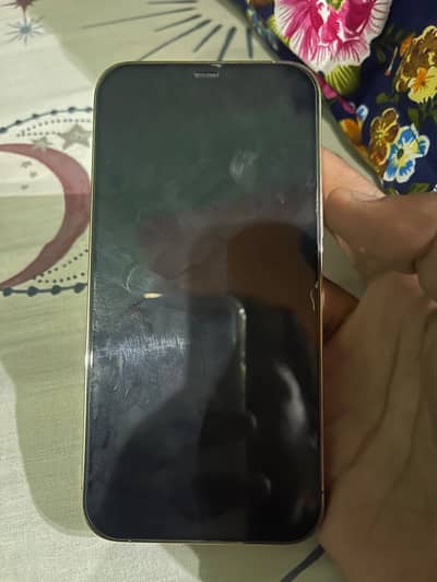 Apple iPhone 12 Pro Max