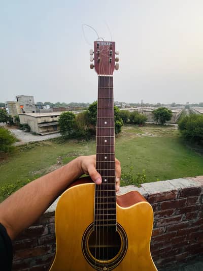 HI VOLTS guitar