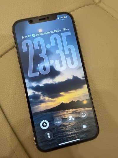 Apple iPhone 12 Pro Max