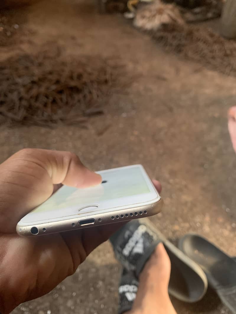 Apple iPhone 6 Plus 0