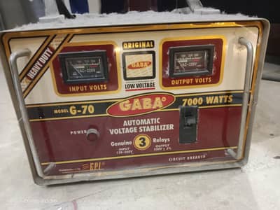 stelizar 7000 watts