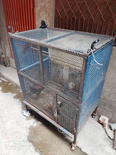 iron cage