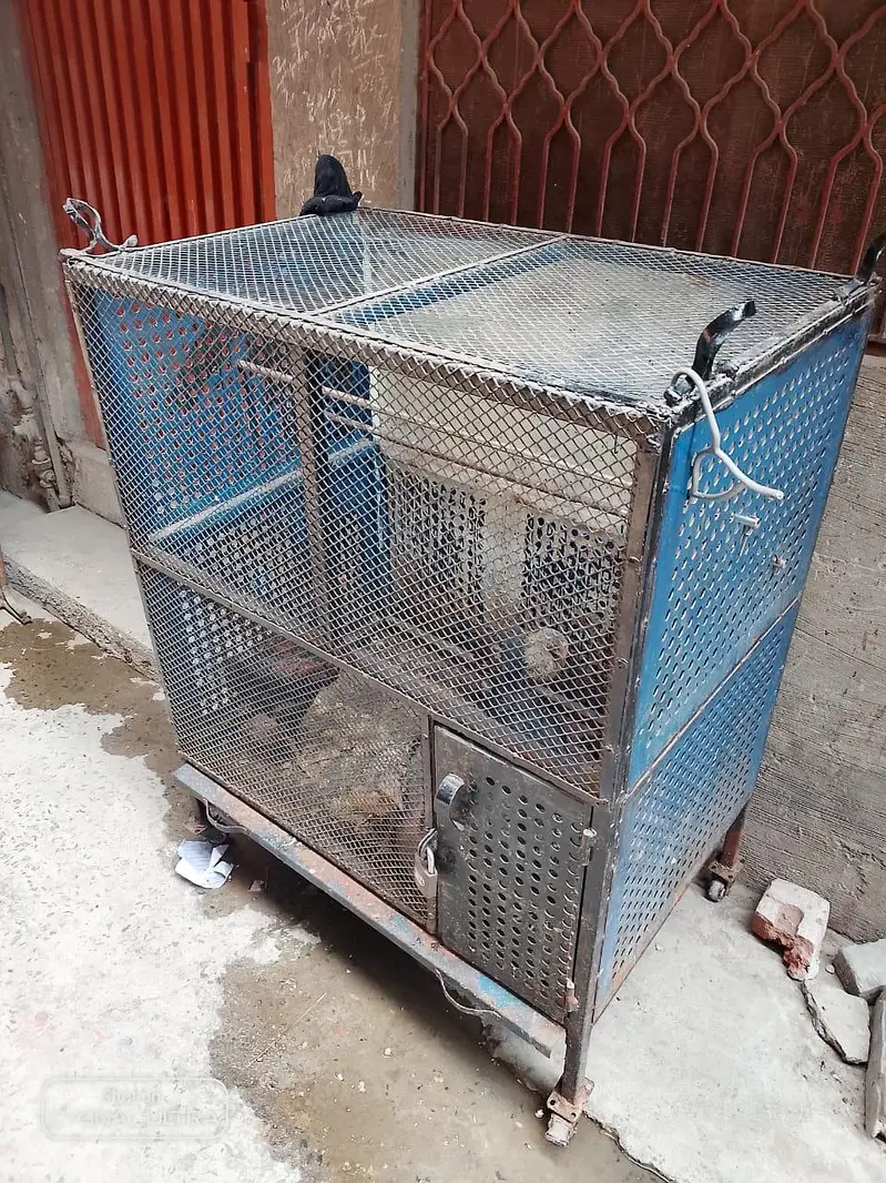 iron cage