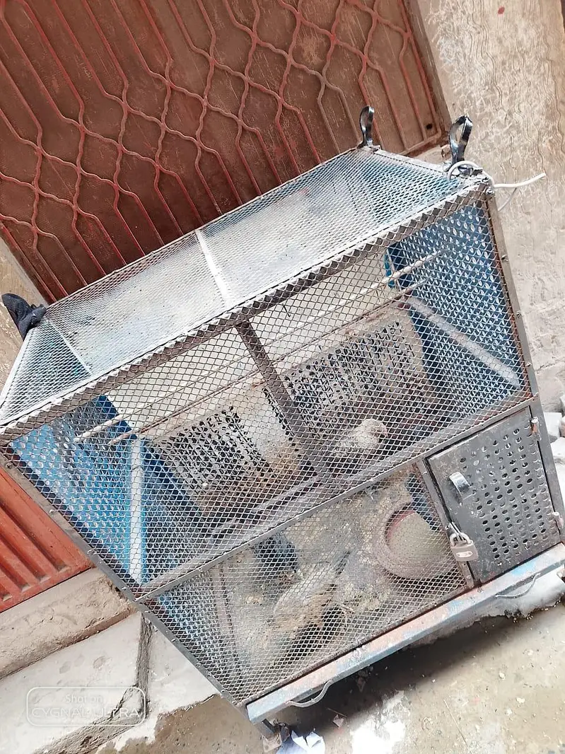 iron cage — photo 2