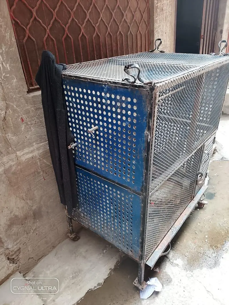 iron cage — photo 4