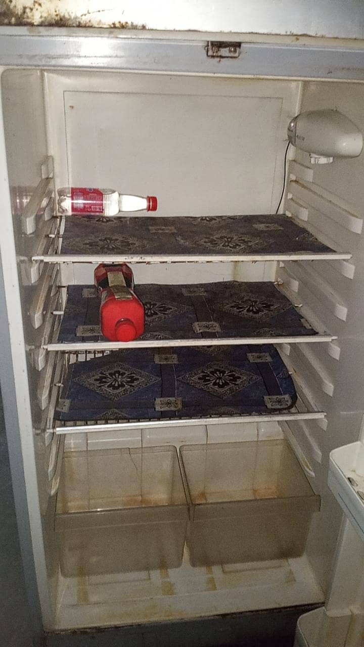 Fridge 3