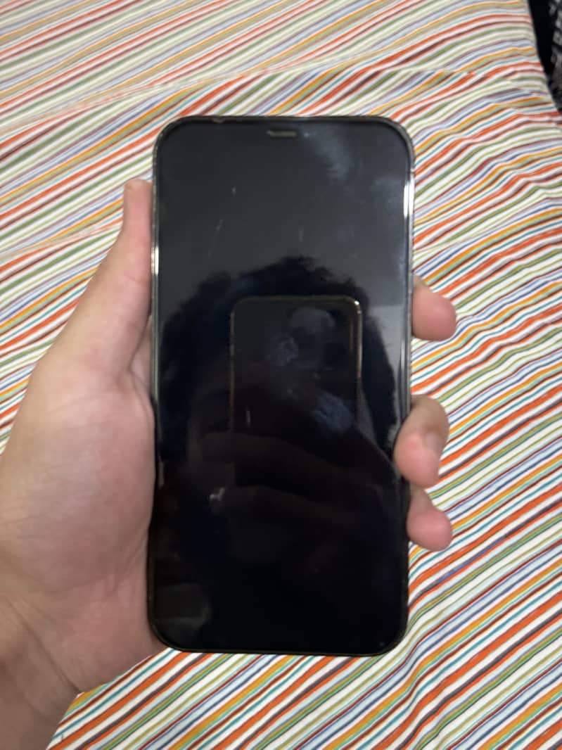 Apple iPhone 12 Pro Max 10