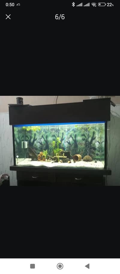 Aquarium for sale