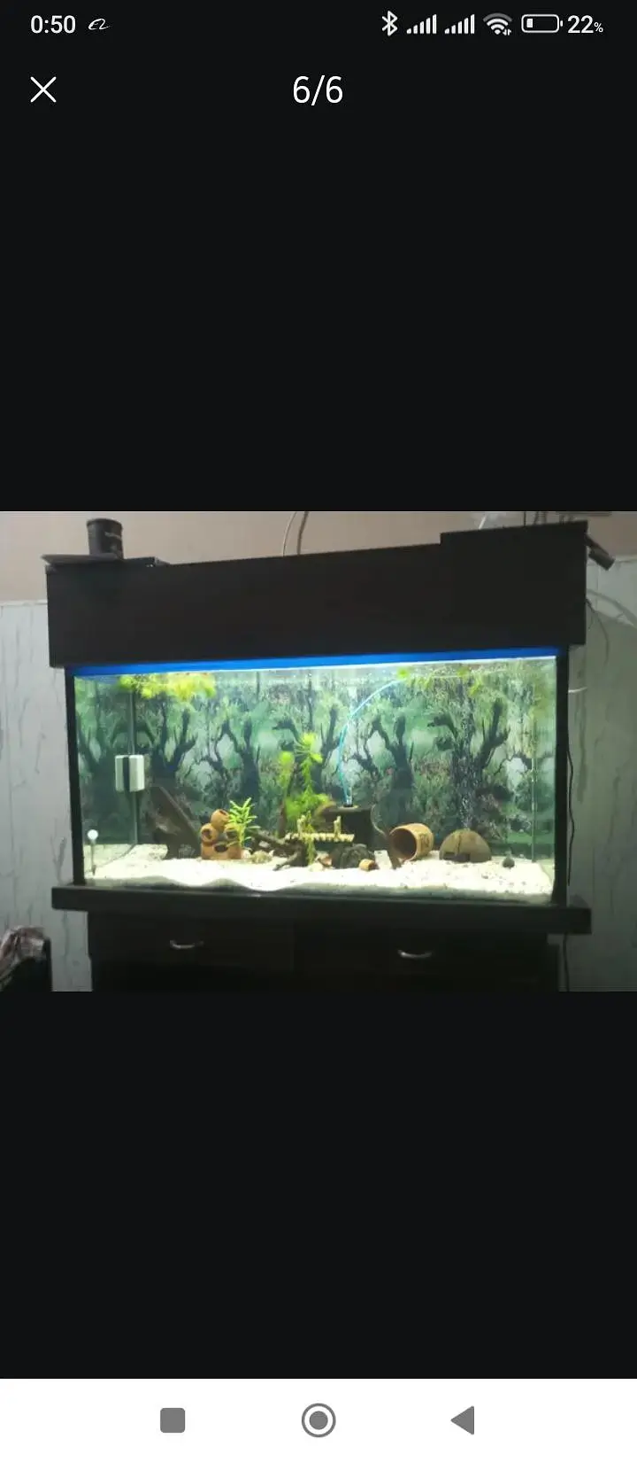 Aquarium for sale