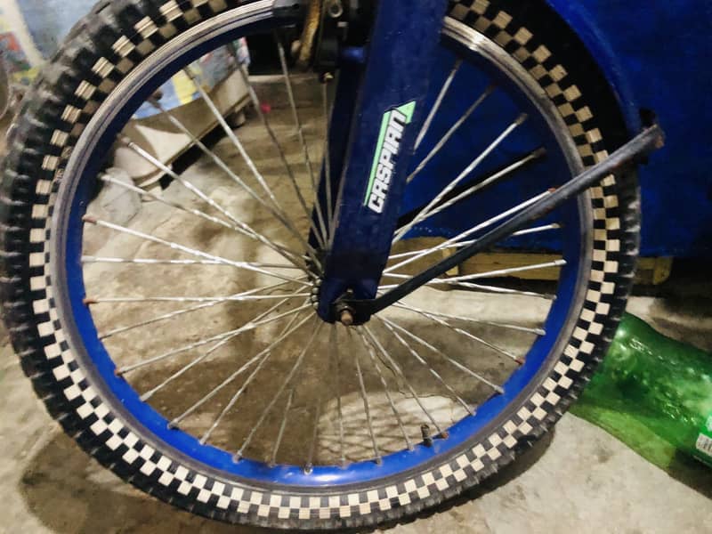 Cycle 2
