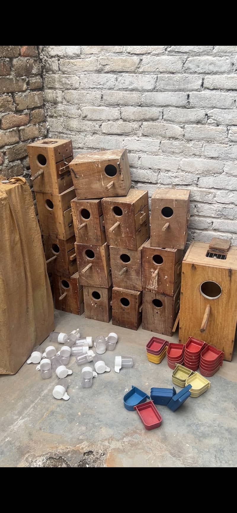 Breeding box 1