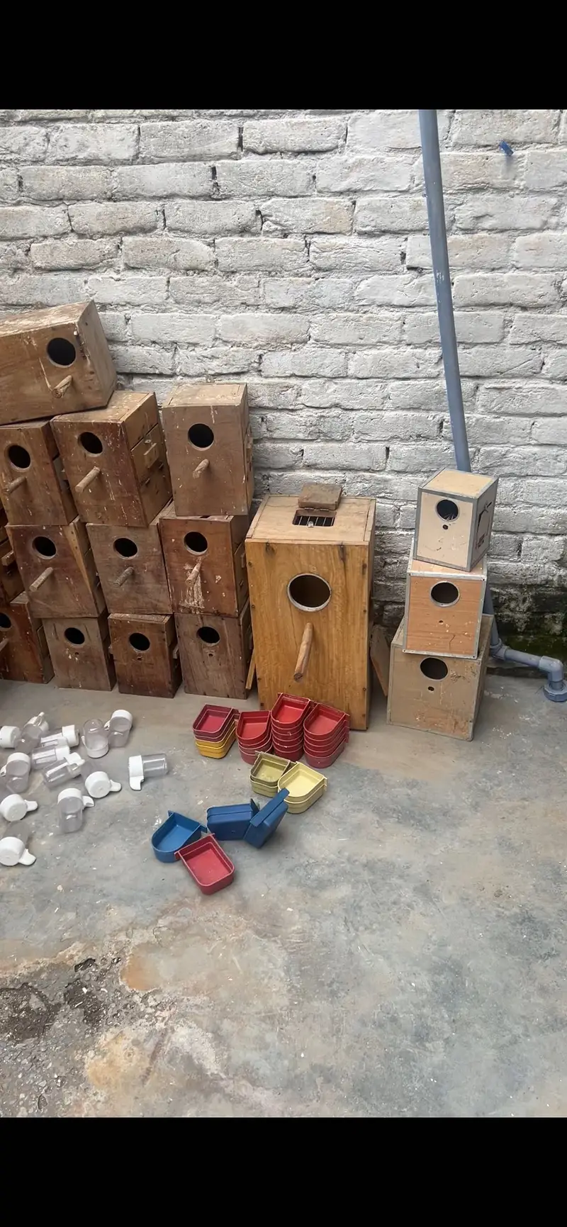 Breeding box — photo 3