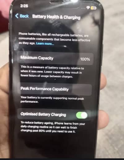 Apple iPhone X