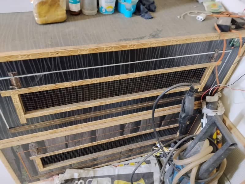 incubator/ brooder/ cage 1