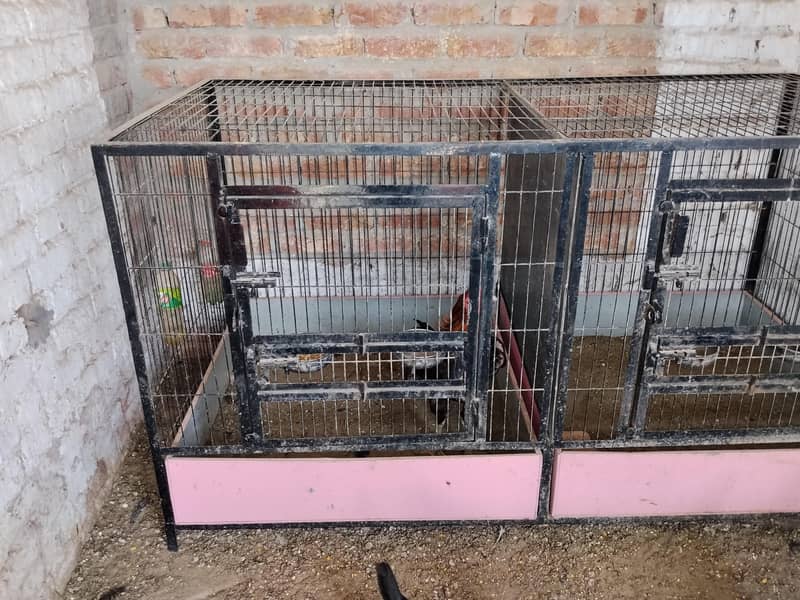 incubator/ brooder/ cage 2