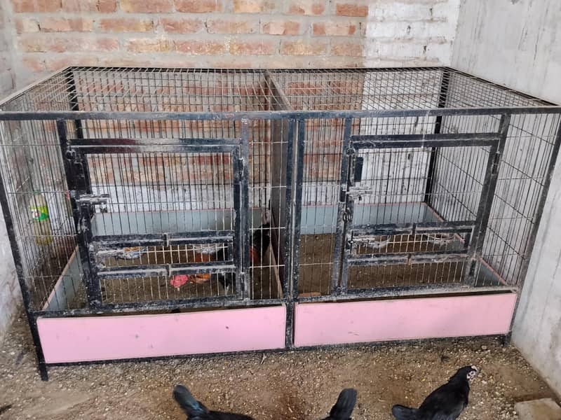 incubator/ brooder/ cage 3