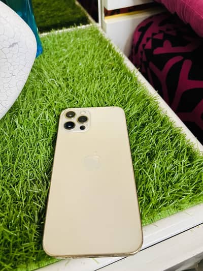 Apple iPhone 12 Pro