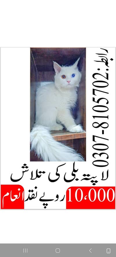 missing