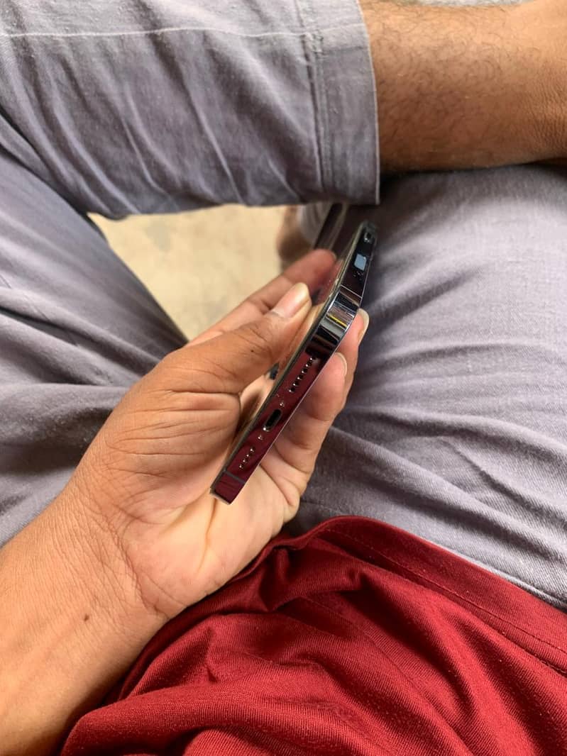 iphone 13 pro max 2