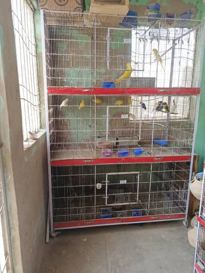colony heavy full floding cage