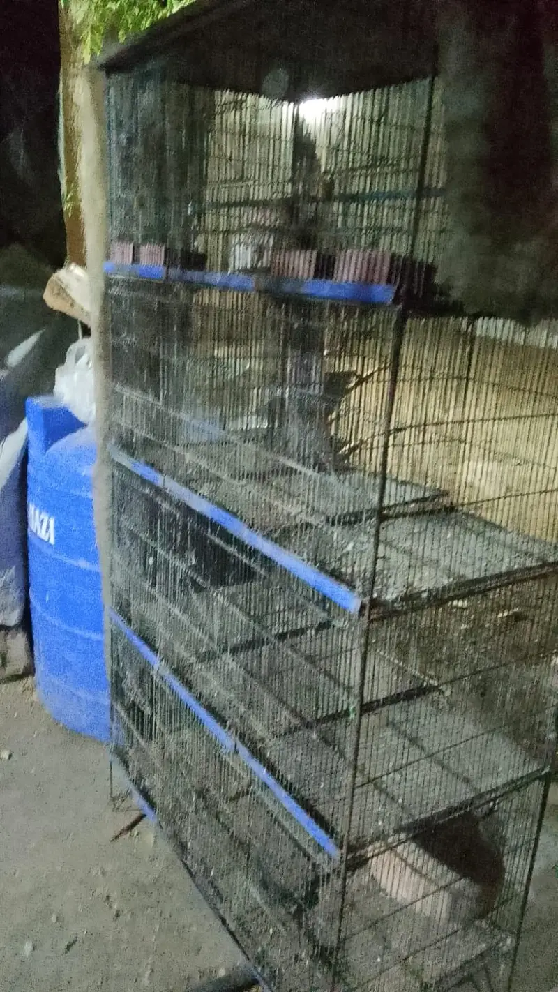 Cage in Good Condition — photo 2