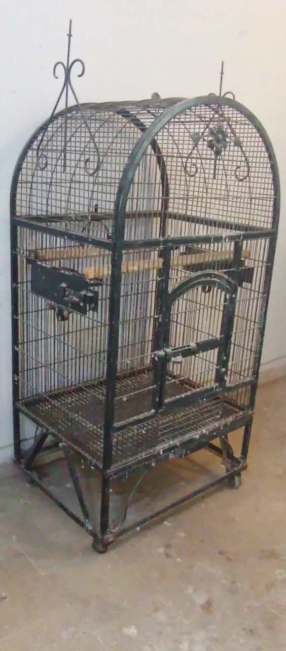 biig size heavy cage for macow and big parrots — photo 2