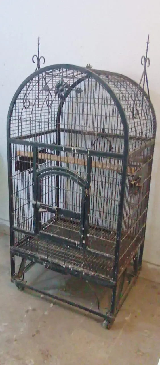 biig size heavy cage for macow and big parrots — photo 3