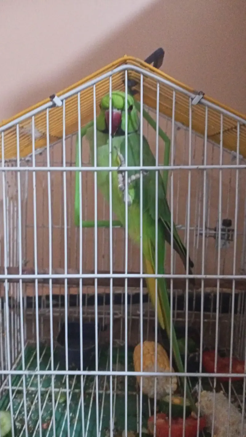 03354049315 — photo 2