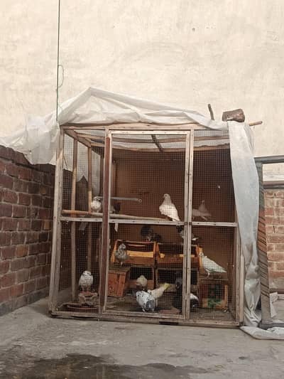 cages